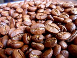 ARABICA VIETKET COFFEE